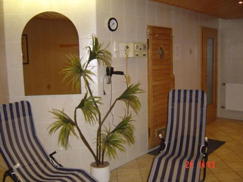 Gaststaette & Pension Alte Muehle Dorfchemnitz المظهر الخارجي الصورة